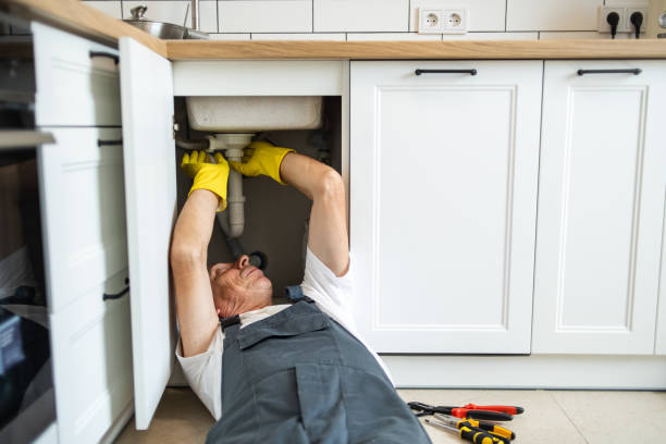 Best Sewer Line Repair  in Clarkton, MO