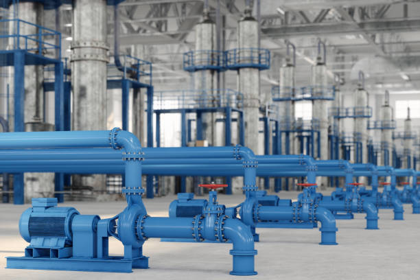 Best Sewer Line Repair  in Clarkton, MO