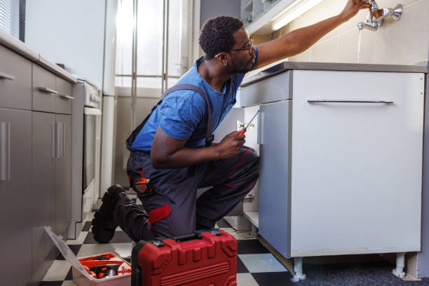 Best Local Plumber Services  in Clarkton, MO